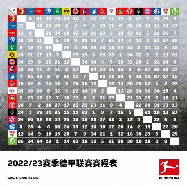 沙欣球员生涯出道于多特，2005年到2011年、2013年到2018年两度效力多特一线队，退役后走上教练岗位，担任安塔利亚体育主帅。